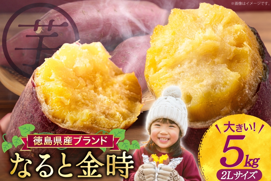 
                  さつまいも 訳あり なると金時 甘藷  2Lサイズ 5kg [増田 和記 徳島県 北島町 29bb0007] サツマイモ さつま芋 鳴門金時 金時 ホクホク 焼き芋 天ぷら 大学芋 スイートポテト おやつ かんしょ 純国産
                