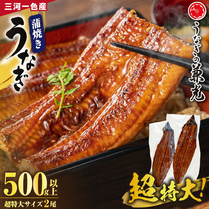 三河一色産 うなぎ蒲焼【超特大サイズ2尾（計500g以上）】U021【冷凍便】うなぎの兼光 蒲焼き 総菜 国産うなぎ ウナギ 鰻 愛知県産 西尾市産 西尾一色産 タレ付き たれセット 蒲焼き かば焼き