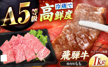 飛騨牛 A5 もも 1kg / 恵那市 / 東美濃農業協同組合 [AUFX006]