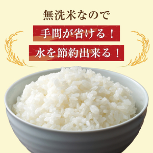 【ふるさと納税】令和8年産 福岡県産 ブランド米「元気つくし」無洗米 10kg [a7258] 株式会社 ゼロプラス 【返礼品】添田町 ふるさと納税