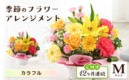 定期便 ≪12ヶ月連続お届け≫ 季節のフラワーアレンジメント M (カラフル) 花束 生花 プレゼント [L-20703_03]