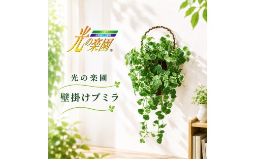 
            光の楽園 壁掛けプミラ【配送不可：北海道・沖縄・離島】 インテリア 光触媒 人工植物 造花 フェイクグリーン 花 フラワー 清浄 消臭 浜松市 [№5360-0686]
          