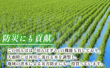 新米＜令和7年産 愛媛県西予市産 コシヒカリ 田んぼダム米 10kg＞ 10キロ こしひかり 西予応援米 宇和米 お米 コメ こめ 白米 精米 米 国産 愛媛県産 宇和町産 和みファーム 愛媛県 西予