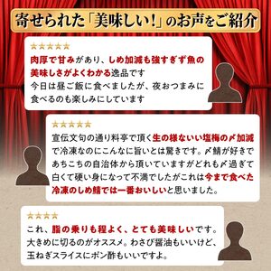 国産 炙りしめ鯖 4枚 （お試し小サイズ） ふるさと納税 魚 北海道 〆鯖 しめさば シメサバ 〆サバ ふるさと 鯖 小分け おつまみ 酒の肴 日本酒 酒 魚介 海鮮 冷凍 国産 人気 年末年始 白糠