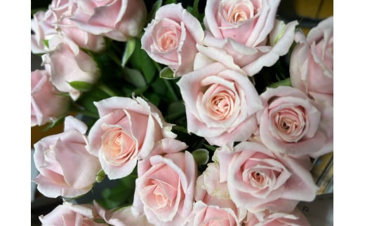 おまかせ薔薇２０本