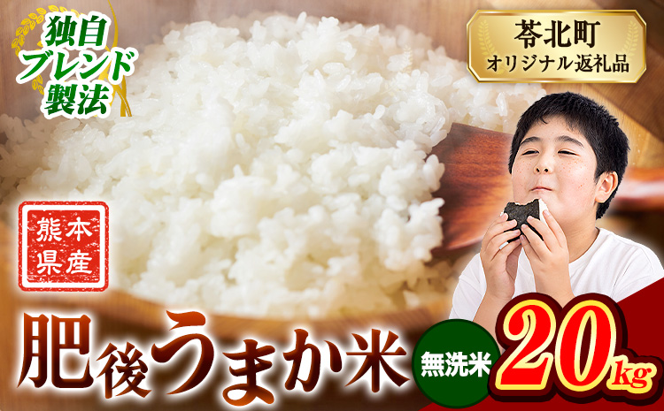 米 熊本県産 肥後うまか米 20kg 熊本県産 ふるさと納税 無洗米 精米 こめ ふるさとのうぜい コメ お米 おこめ ブレンド米《7-14日以内に出荷予定(土日祝除く)》---reihoku_loc_472_20kg---