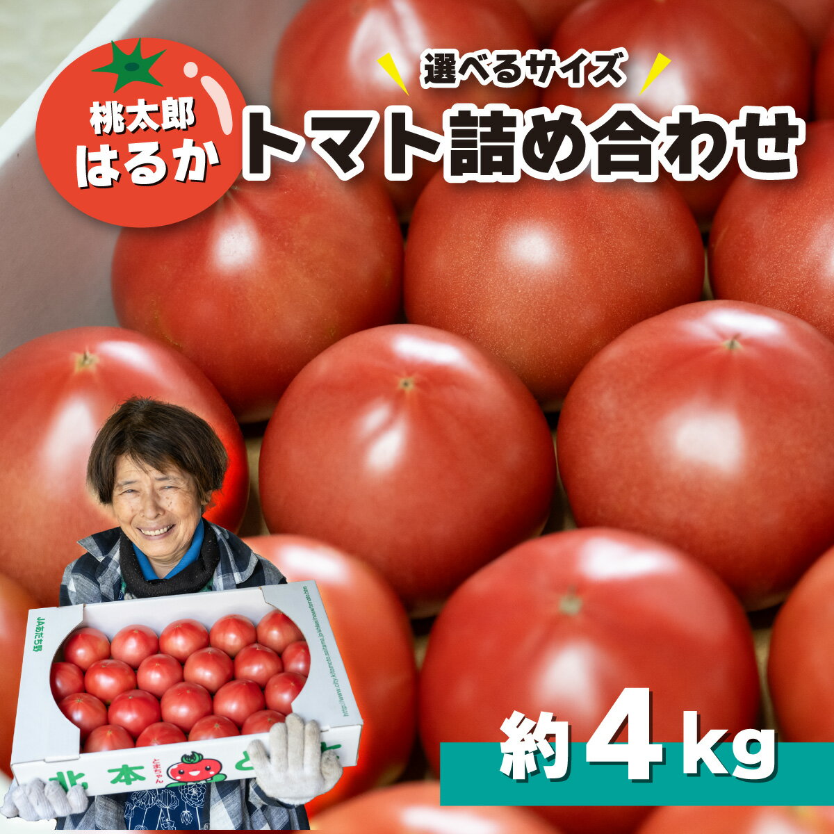 【ふるさと納税】トマト詰め合わせ ( Mサイズ 約22～24個/ Lサイズ約16個～18個 約計4kg ) 桃太郎はるか | とまと トマト 桃太郎 大玉 大玉トマト マイルド 酸味が少ない 健康 国産 新鮮 野菜 北本産 関東 旬のトマト 加藤義明とまと農園 埼玉県 北本市
