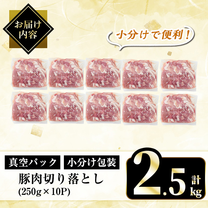 A5-033-B 国産！鹿児島県産豚肉切り落とし真空小分け 250g×10P(計2.5kg)【肉の豊楽】霧島市 豚肉 ぶたにく 豚 小分け 切り落とし 真空パック 切落し 冷凍
