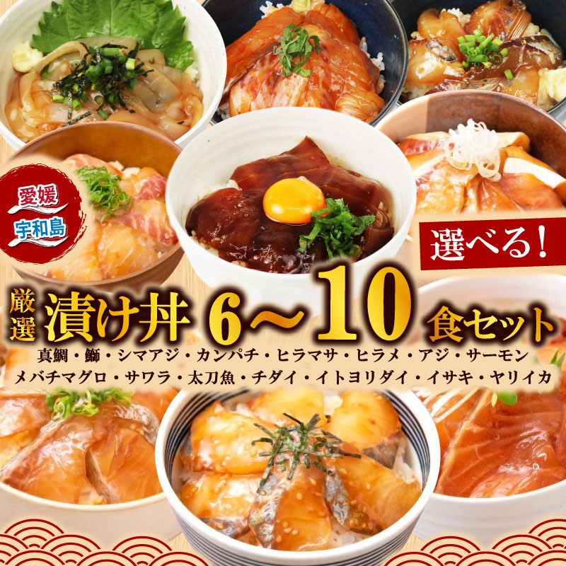 【ふるさと納税】 ＼10営業日以内発送／ 漬丼 厳選 活締め 全15種 お任せ 漬け丼 選べる 6食 ～ 10食 セット 南予ビージョイ 真鯛 鰤 シマアジ カンパチ ヒラマサ ヒラメ アジ サーモン メバチマグロ サワラ 太刀魚 チダイ イトヨリダイ イサキ ヤリイカ 宇和島
