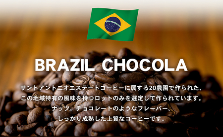 自家焙煎珈琲豆専門店のおうちコーヒー（ブラジルショコラ） 300g コーヒー豆 コーヒー粉  豆タイプ