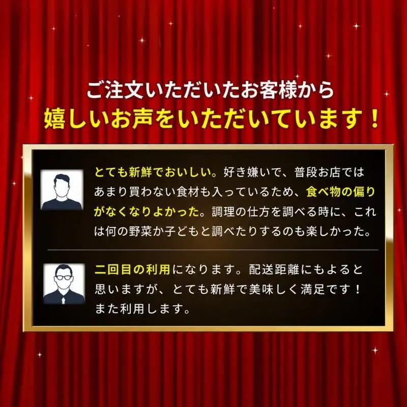 野菜 とれたて パック 定期便 4回 季節の野菜 8品 野菜
