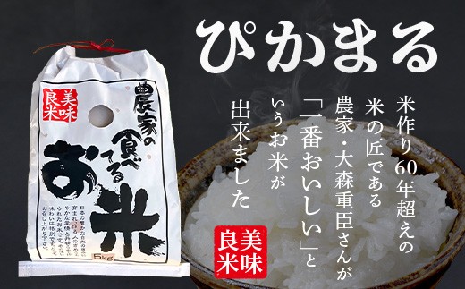 【定期便2回】令和8年産 ぴかまる 5kg×2