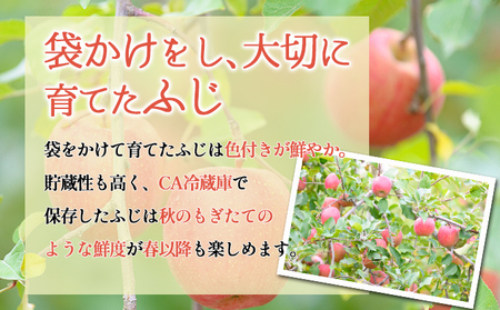 りんご 【5月クール便発送】 平均糖度13度以上 訳あり SF CA貯蔵 有袋ふじ 約 5kg 【 弘前市産 青森りんご 】 リンゴ 林檎 ふじ 果物 くだもの フルーツ 弘前  青森 訳アリ 