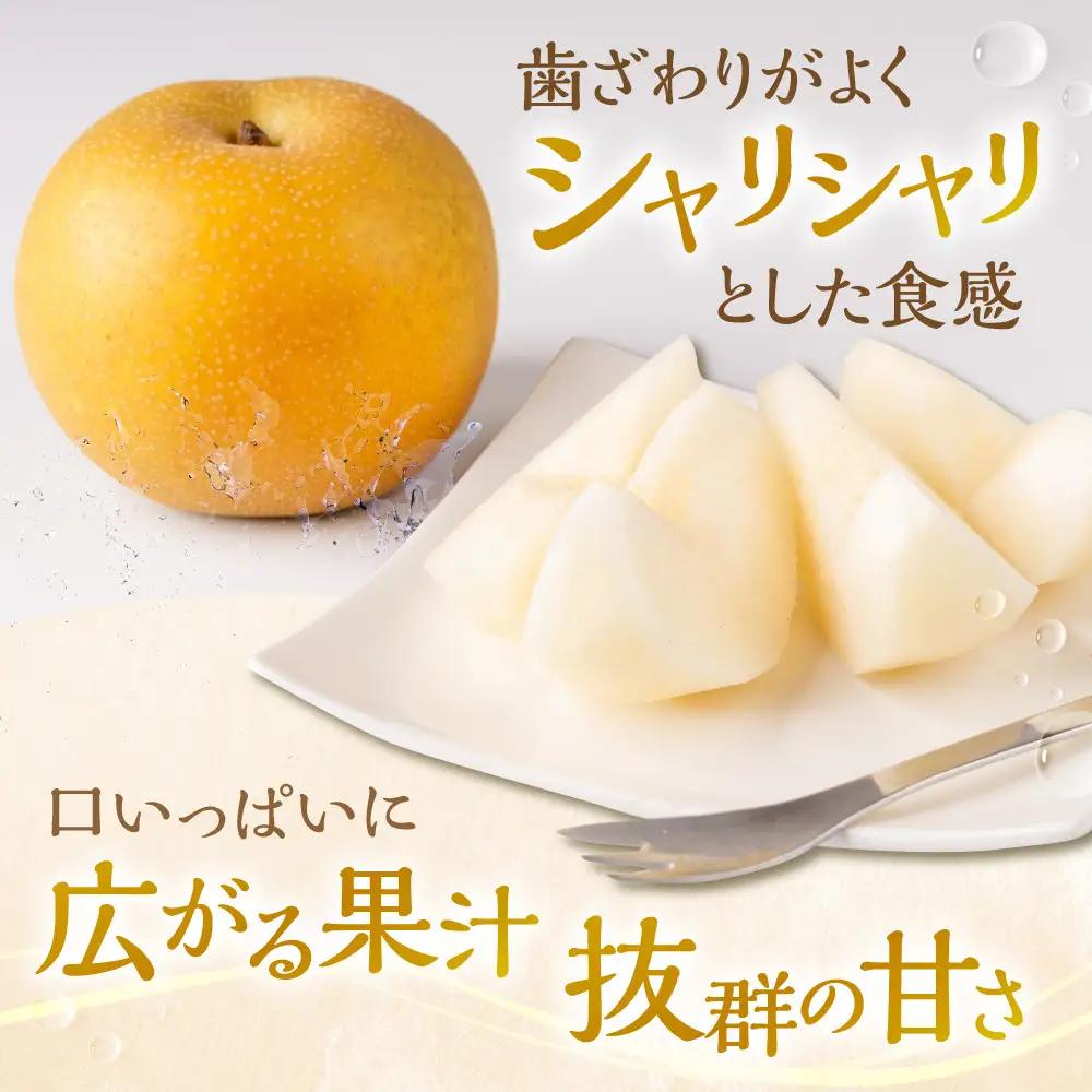 【先行予約・2026年8月25日～9月10日に発送】呉羽梨（くれはなし）5kg箱