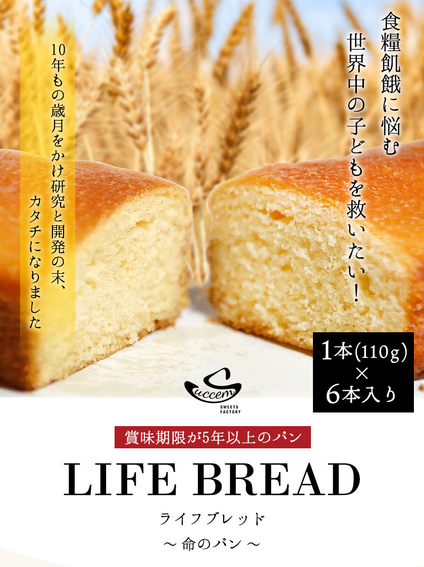 LIFEBREAD(6本入り) サクセム株式会社《90日以内に出荷予定(土日祝除く)》和歌山県 紀の川市　パン