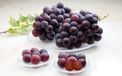 08-01-014　ぶどう(種なしピオーネ)1kg