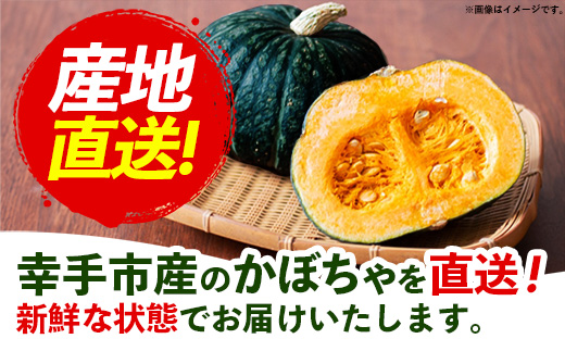 【きあり農園】2026年度 幸手市産 ミニかぼちゃ 3個 - カボチャ 南瓜 栗てまり 産地直送 野菜 ベジタブル 美味しい おいしい 緑黄色野菜 使いやすい 国産 おすすめ 送料無料 埼玉県 幸手市