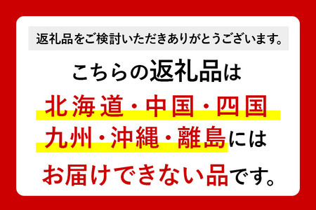 水 《定期便2ヶ月》国産 ミネラルウォーター ピュアの森 500ml 24本×2箱 計48本 天然水 軟水 ペットボトル ラベルあり