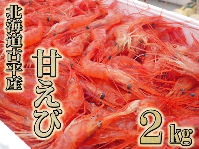 【FN】北海道古平産 漁師直送！ 甘えび２kg