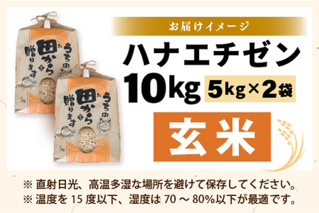 【先行予約】【令和8年産・新米】 ハナエチゼン10kg(5kg×2袋) ～本原農園からまごころコメて～（玄米）【2026年9月上旬以降順次発送予定】 [B-8946_02]