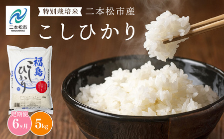 【定期便6ヶ月】二本松市産こしひかり5kg 米 精米 コシヒカリ 5kg 30kg 定期便 特別栽培 お米 こめ おすすめ お中元 お歳暮 ギフト 二本松市 ふくしま 福島県 送料無料 米 米 米 米【株式会社あだたら米】