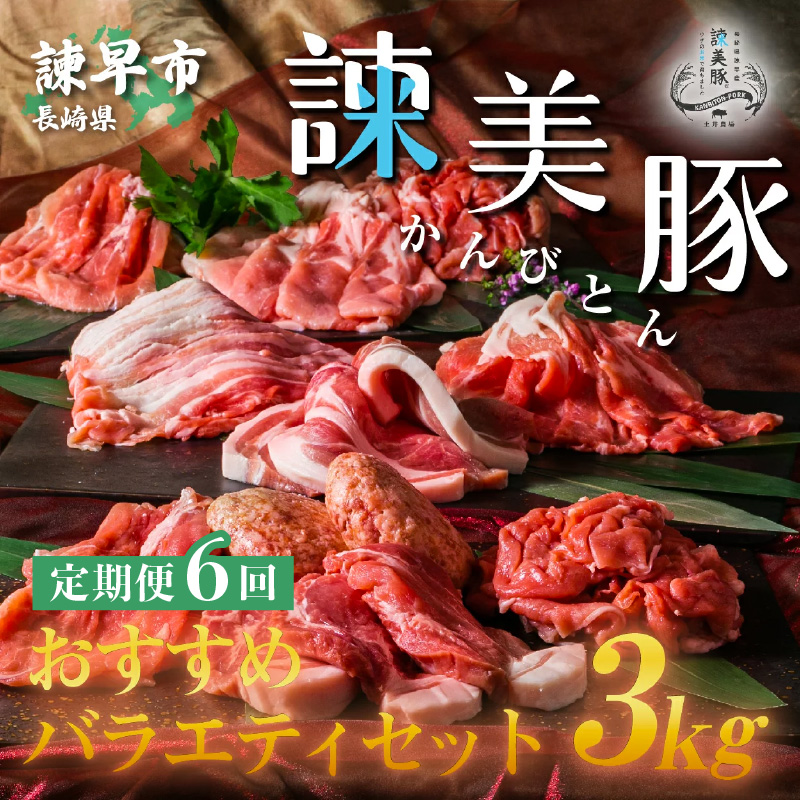 【6回定期便】諫美豚おすすめバラエティセット3kg / 諫美豚 豚肉 肩ロース ステーキ モモ 切り落とし ハンバーグ ロースステーキ / 諫早市 / 株式会社土井農場 [AHAD005]