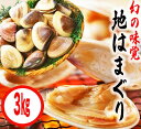 【ふるさと納税】鹿島灘特産★ブランド地はまぐり（超特盛 3kg ） BBQ 貝類 海鮮 海産物 はまぐり 蛤 ハマグリ 特盛 人気 ブランド 特産 鹿島灘 鹿嶋市 茨城県 送料無料 産地直送 30000 三万円 （KBL-6）