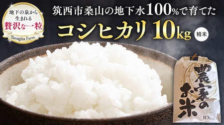 地下水100％で作る美味しい 「 コシヒカリ 」 10kg 令和6年産 米 お米 白米 コメ こしひかり 茨城県 精米 新生活 応援 [DU003ci]