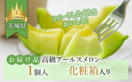12-16茨城県産アールスメロン【秀品】1個【2024年9月上旬～10月下旬ごろ発送予定】