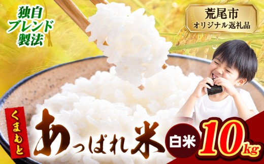 熊本県産 くまもとあっぱれ米 ブレンド米 10kg 熊本県産 ふるさと納税 白米 精米 米 こめ ふるさとのうぜい コメ お米 おこめ《12月中旬-2月末頃出荷》