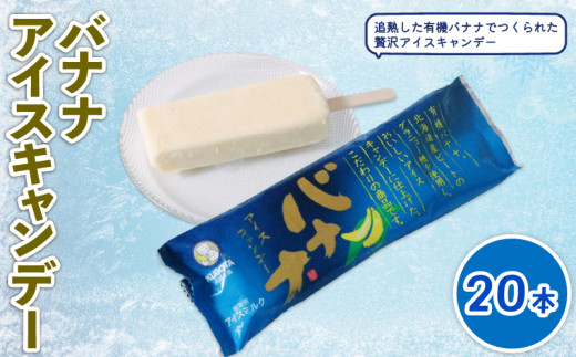 バナナアイスキャンデー80ml✕20本 | バナナアイス バナナアイスキャンデー アイスキャンデー アイスキャンディー 有機栽培バナナ オーガニックバナナ 有機バナナ フルーツアイス 果実アイス ご当地アイス ナチュラルスイーツ 乳製品使用 追熟バナナ 冷凍スイーツ デザート おやつ お取り寄せ 人気アイス 夏スイーツ 家族向け 個包装 オーガニックスイーツ 久保田食品 高知県 南国市