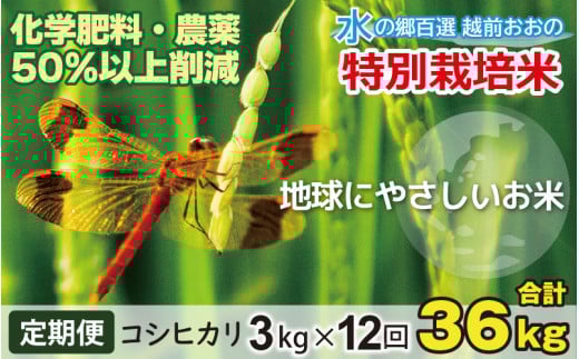 【令和7年産 新米】【12ヶ月定期便】こしひかり 3kg × 12回 計 36kg【白米】減農薬・減化学肥料「特別栽培米」－地球にやさしいお米－