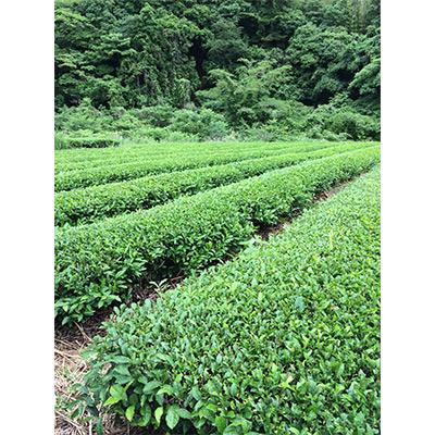 ふるさと納税 島田市 【毎月定期便】味の逸品100g×4本 全12回 |  | 03