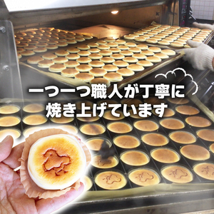 アルザス 千鳥ショコラ 6個 冷凍 ガトーショコラ チョコケーキ 愛知県 南知多町  [配送不可地域：離島]