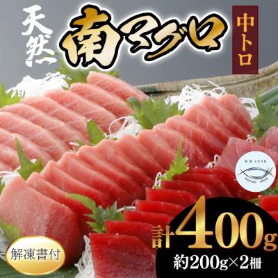ふるさと納税 室戸市 天然南マグロ　中トロ2柵【解凍書付】