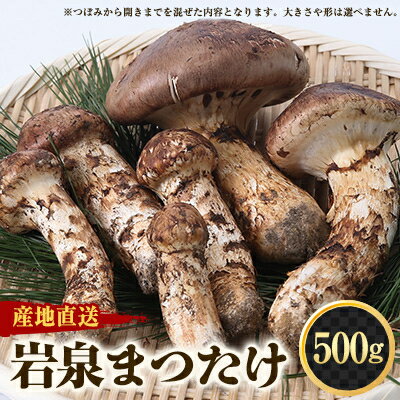 【ふるさと納税】≪産地直送≫　岩泉まつたけ 500g【配送不可地域：離島】【1423715】