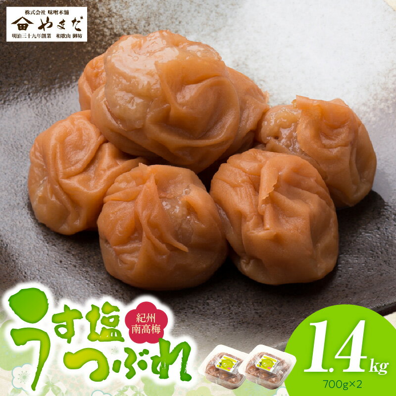 【ふるさと納税】紀州 南高梅 うす塩つぶれ 700g×2 計1400g 塩分 約6% ご家庭用 おすすめ 酸味 甘み 絶妙 うま味 残したまま 塩分 控えめ 花 梅肉 小分け おかず おにぎり お弁当 梅 梅干し ご飯 食品 加工品 のし対応可 お取り寄せ 和歌山県 湯浅町 送料無料