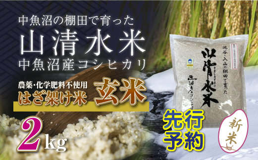 【新米先行受付】新潟県魚沼産コシヒカリ◇玄米２kg 栽培期間中農薬・化学肥料不使用「山清水米」はざ架け米