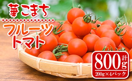 s501 《期間・数量限定》華こまちフルーツトマト(計800g・200g×4パック)鹿児島 国産 九州産 野菜 とまと ミニトマト サラダ【吉祥庵園芸】