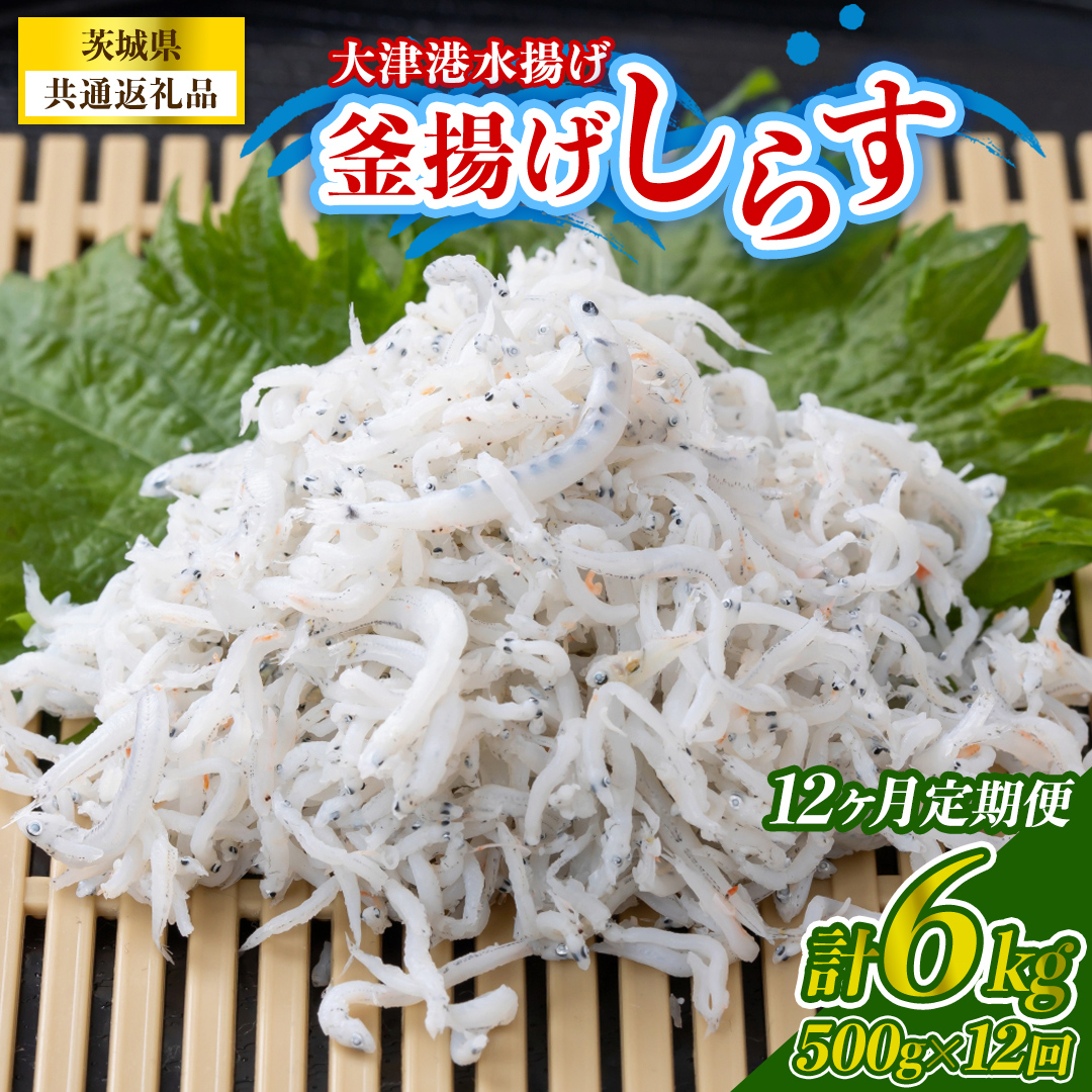 【12回定期便】大津港水揚げの釜揚げしらす 500g(250g×2パック) (茨城県共通返礼品:北茨城市) (BC022)