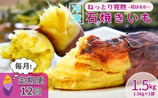 ＜12ヵ月定期便＞【訳あり】ねっとり甘い 紅はるかの冷凍石焼き芋1.5kg 全12回 | 茨城県 龍ケ崎市冷凍焼き芋 やきいも 焼き芋 焼いも スイーツ ダイエット 小分け ギフト プレゼント 国産 無添加 茨城県産 さつまいも サツマイモ お芋 いも おやつ 干し芋 石焼き芋 紅はるか シルクスイート 紅はるか ねっとり 甘い 完熟 熟成 冷凍 冷やし焼き芋 訳あり
