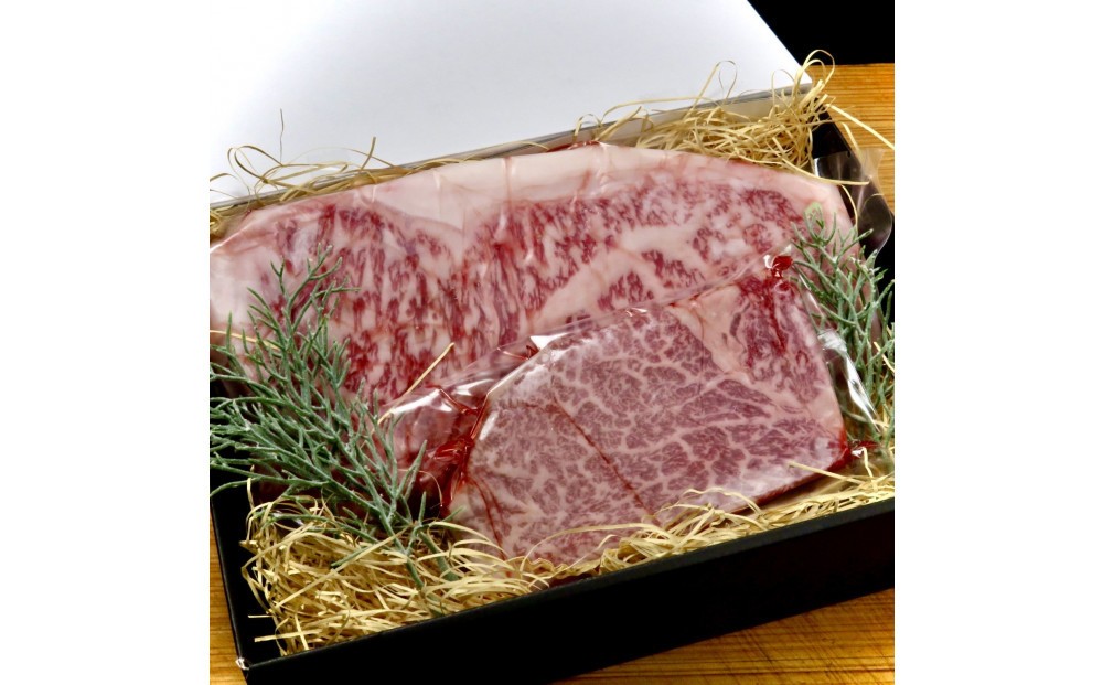 
                  【セット】博多和牛A5ランク　ヒレサーロインステーキギフトセット  （ヒレステーキ約200g×1枚、サーロインステーキ約350g×1枚　合計約550g）
                