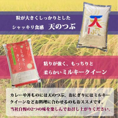 ふるさと納税 西郷村 新米先行予約!食べ比べセット!精米10kg【令和7年産】天のつぶ&ミルキークイーン1等米5kg×2袋 |  | 01