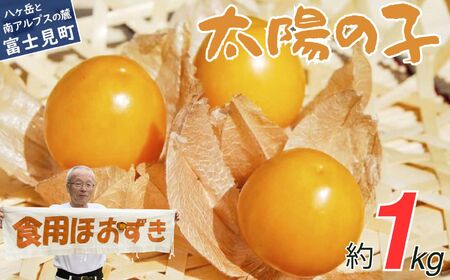【農薬不使用】 フルーツほおずき 太陽の子 1kg バディアス農園 先行予約 