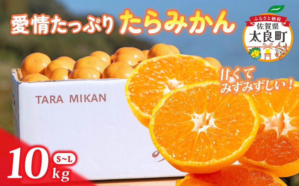 
                  N199x1 愛情たっぷりたらみかん 10kg　みかん ミカン 蜜柑 たらみかん 温州みかん 完熟みかん 甘熟 柑橘 有機栽培 国産 佐賀県産 太良町 こだわり 贈答品 産地直送 詰め合わせ 極甘 小玉 【2026年11月上旬-12月下旬発送予定】
                