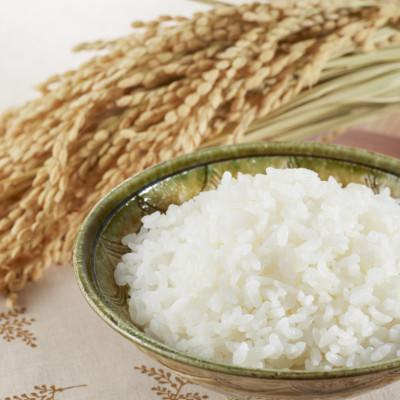 ふるさと納税 郡山市 令和7年産 福島県郡山産あさか舞こしひかり 精米 5kg×2 |  | 03