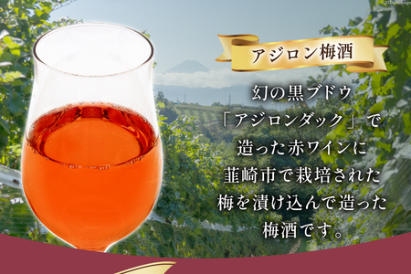 梅酒 やや甘口 アジロン梅酒 500ml 酒 リキュール 梅酒