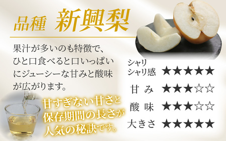 【福井県あわら市産】夢の果実直送便 梨ジュース（720ml×2本） / 梨 新興梨 ジュース 果物 フルーツ 果汁100 ギフト プレゼント 贈り物