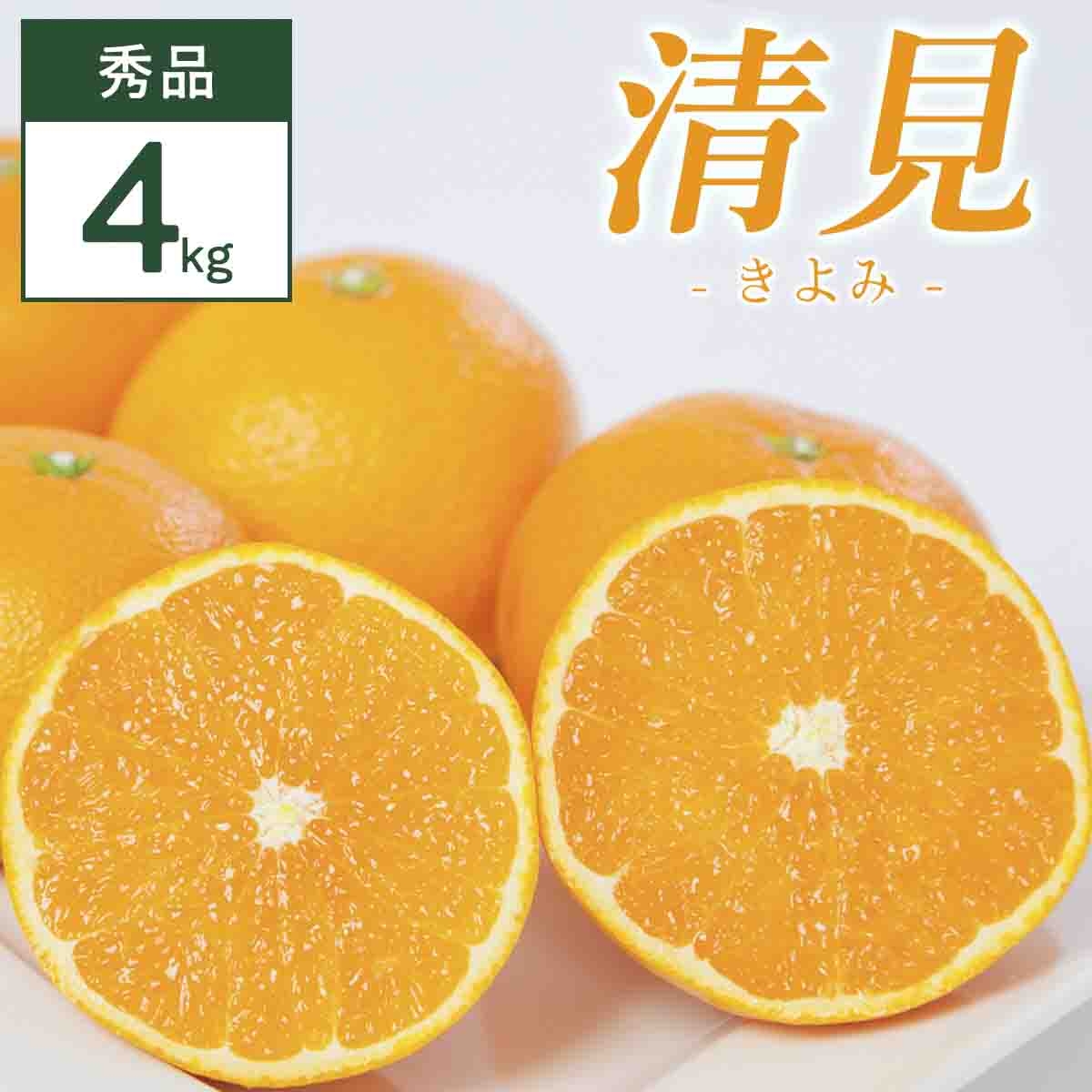 
                  清見 4kg 愛媛県 八幡浜市 西宇和地区 柔らかい果肉＜D25-352＞【1716860】 YWTAP293
                