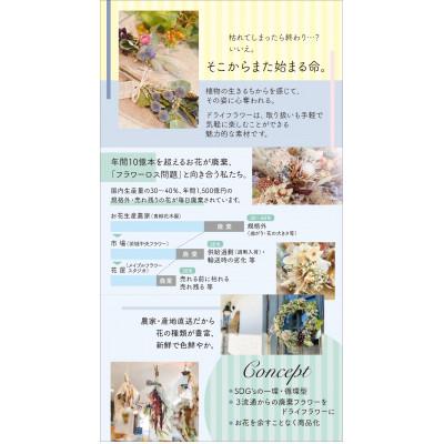 ふるさと納税 ひたちなか市 【11月下旬以降発送開始・数量限定】常緑樹の香りあふれるクリスマスリース |  | 02